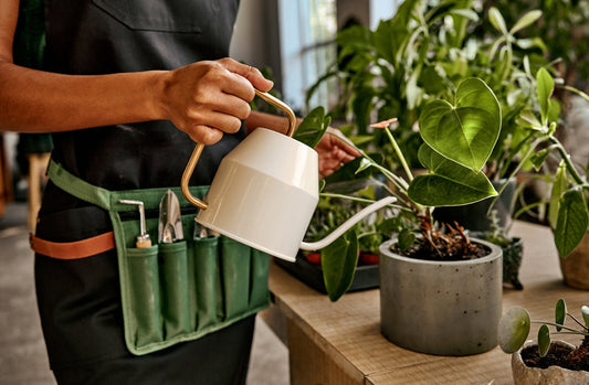 The Art of Watering Container Grown Plants
