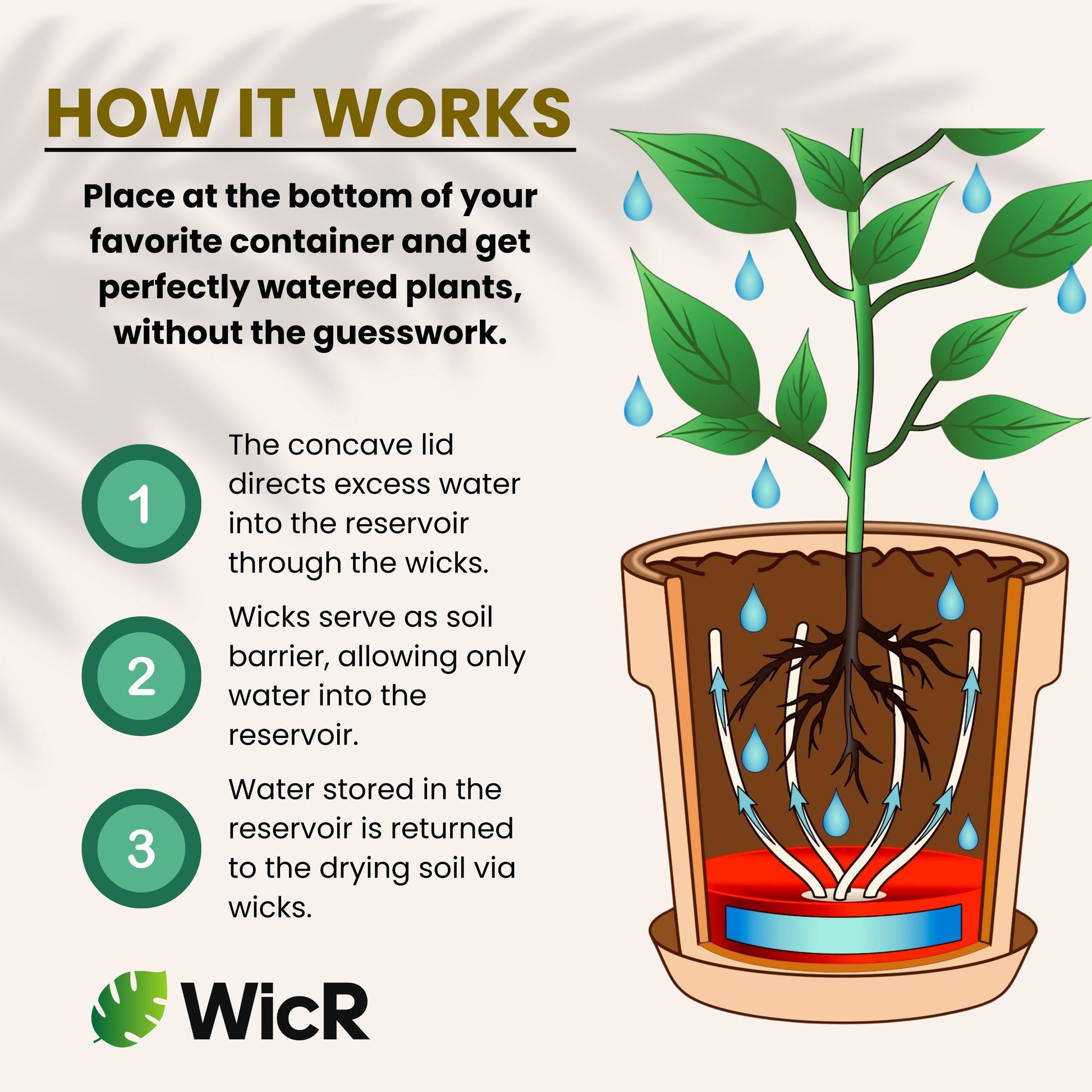 self watering plant reservoirs SAVE w/ 3 Pack of 6½” WicR reservoirs